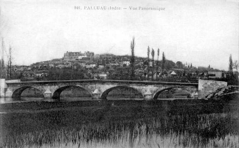 CPA_palluau_VuePanoramique