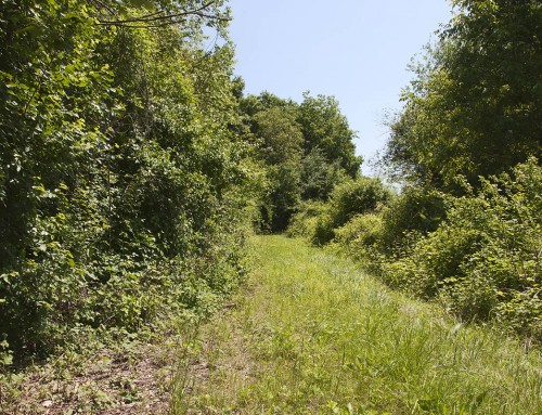 Zones prioritaires pour la biodiversité : le décret entre en vigueur