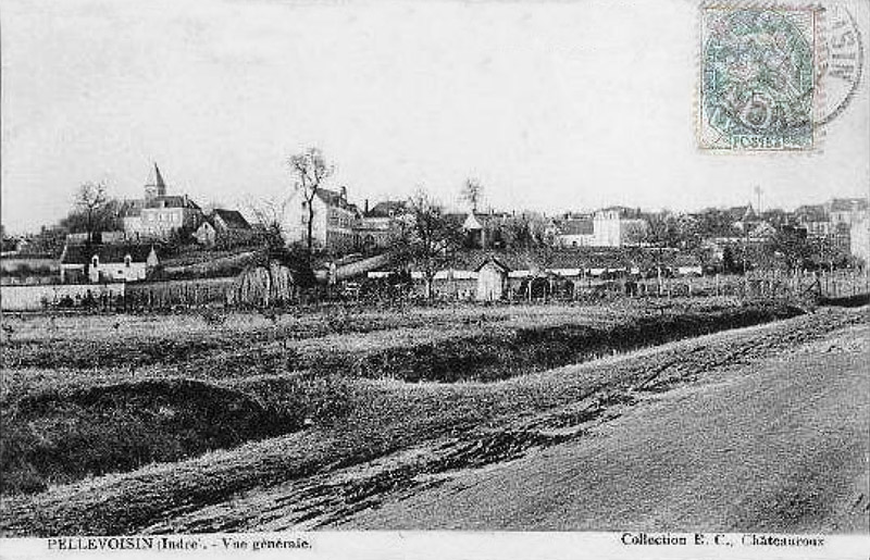 CPA_Pellevoisin_Vuegénérale2