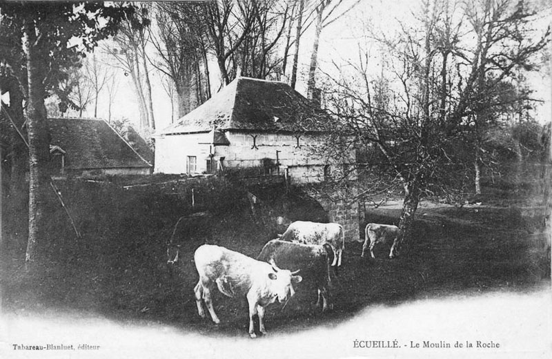 CPA_Ecueillé_MoulindelaRoche2