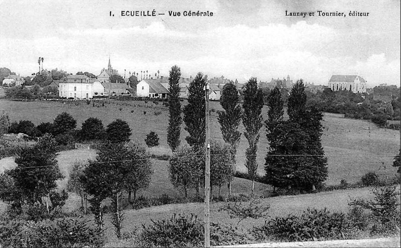 CPA_Ecueillé_VueGénérale2