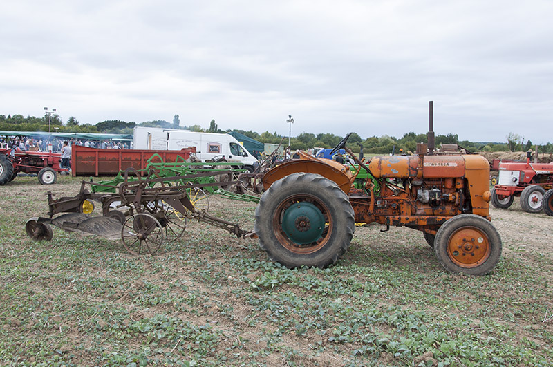 DSC10019