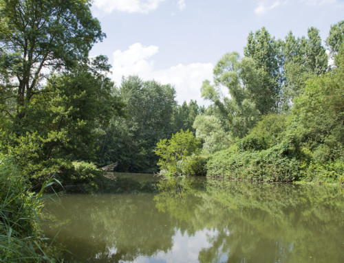 Cartographie des cours d’eau de l’Indre