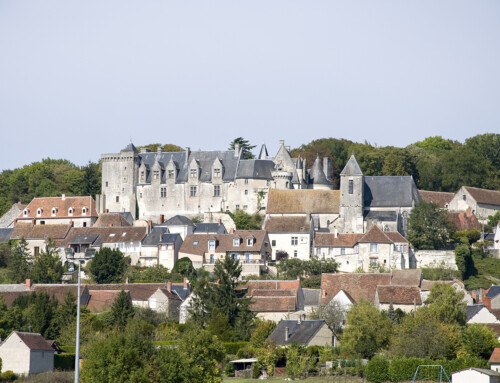 Le château de Palluau est en vente