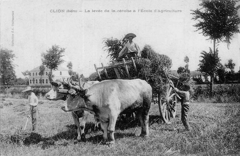 CPA_Clion_EcoleAgriculture